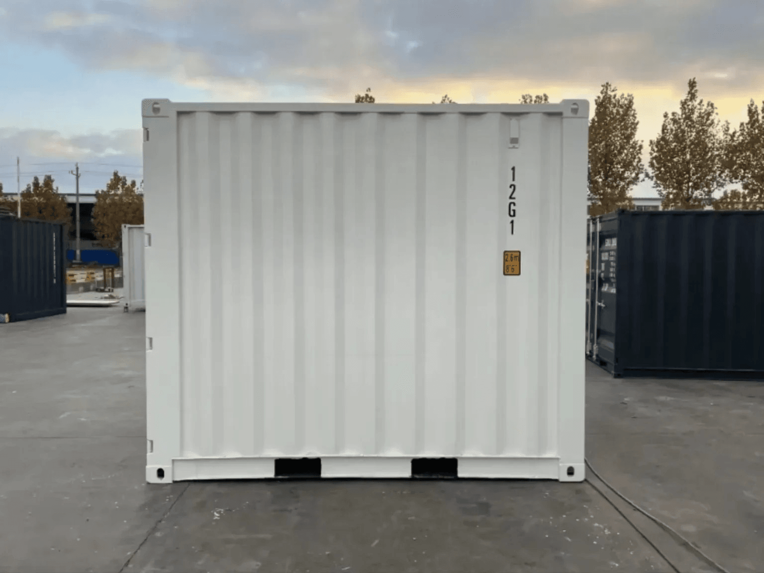 10ft High Cube White Shipping Container — One Trip